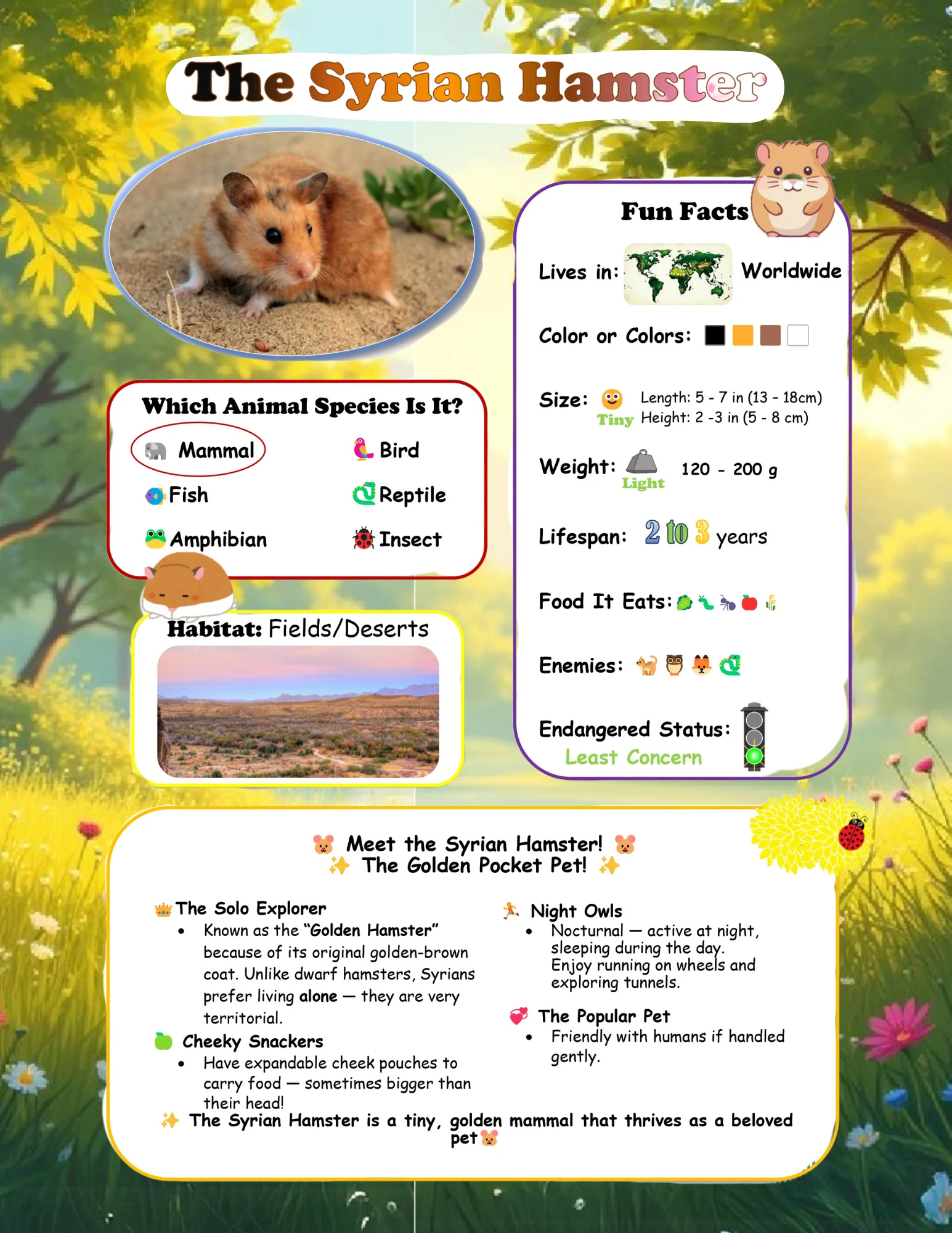 Hazel the Hamster and the Birthday Surprise - Image 4